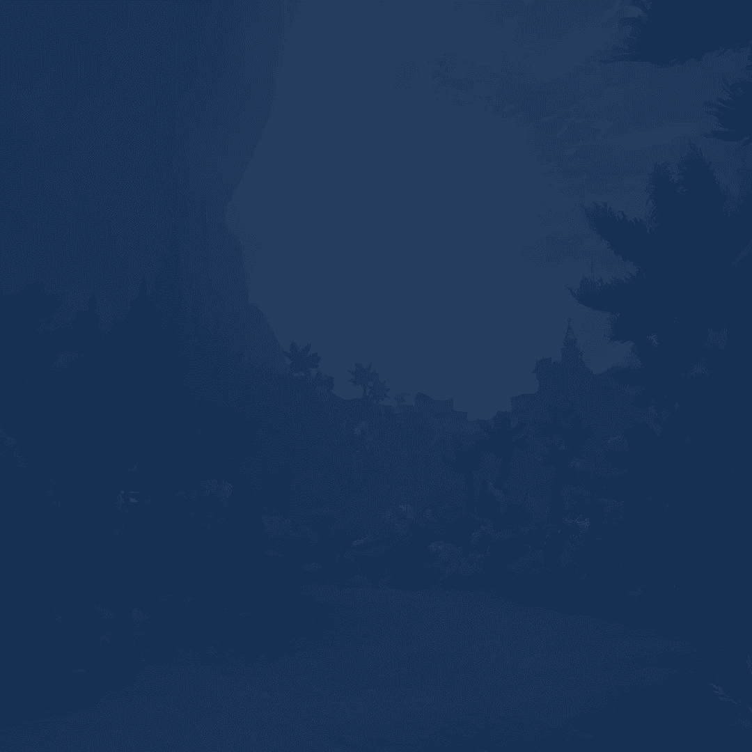 Service background