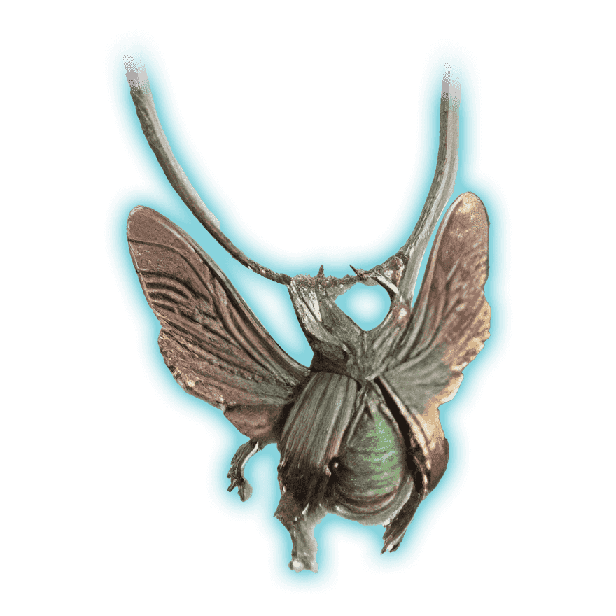 Banished Lord's Talisman