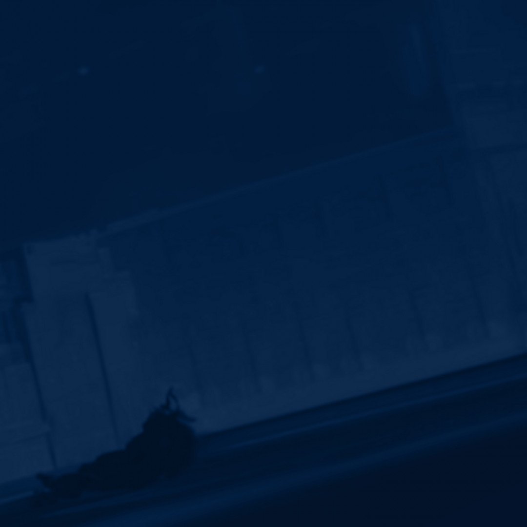 Service background