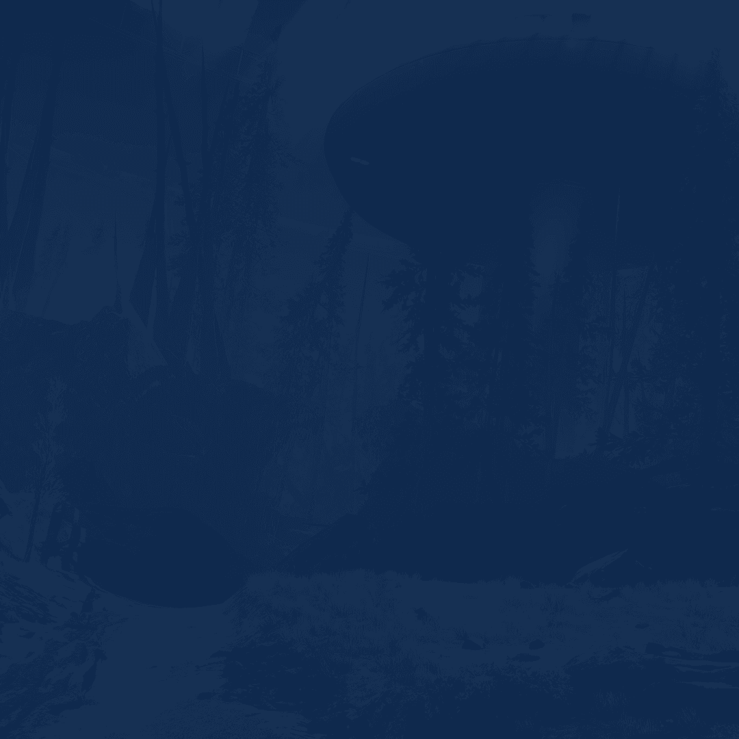 Service background
