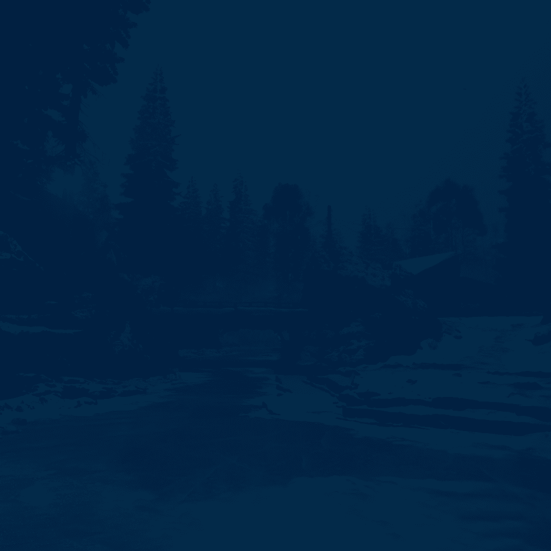 Service background