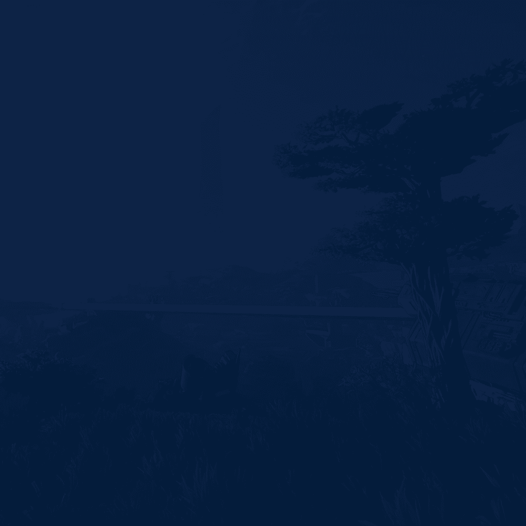 Service background