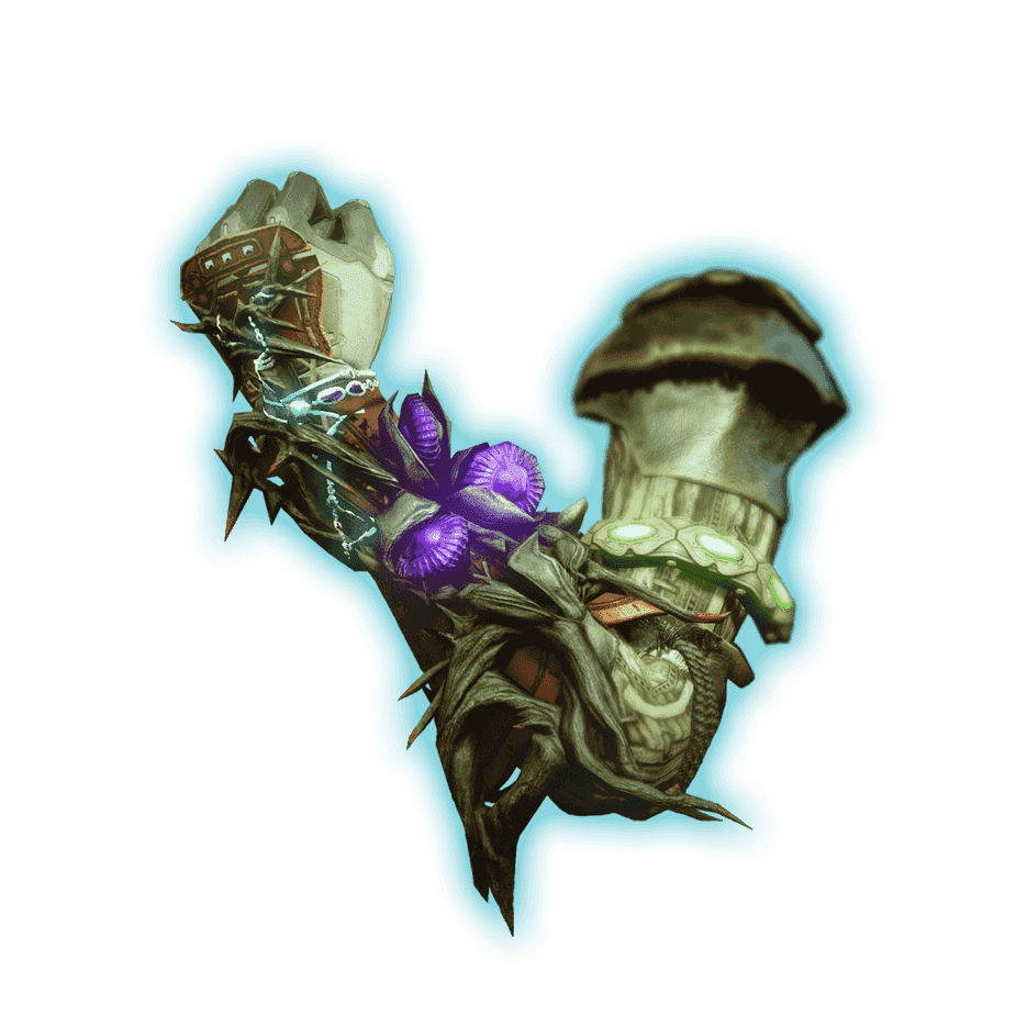 Briarbinds Exotic Gauntlets (Warlock)