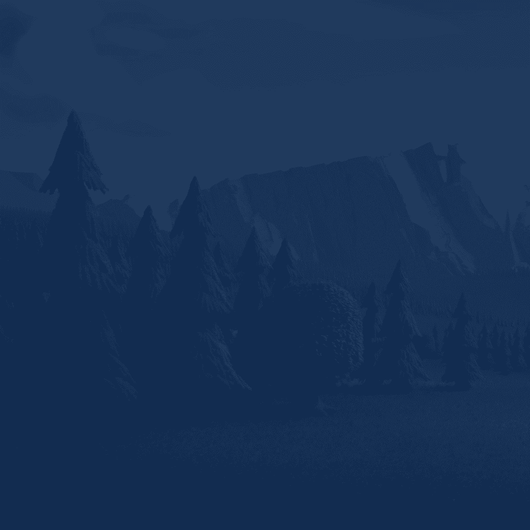 Service background