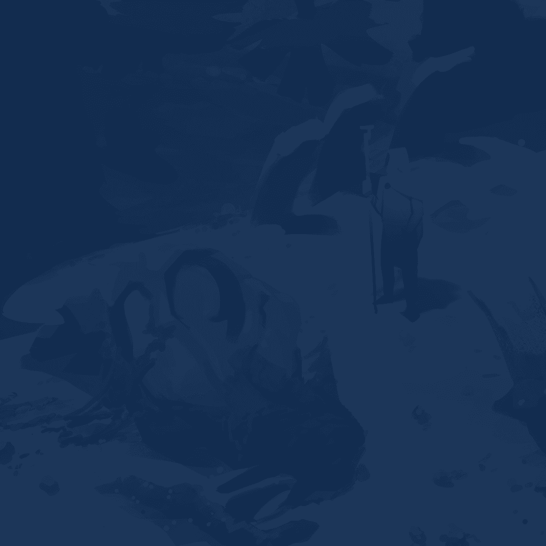 Service background
