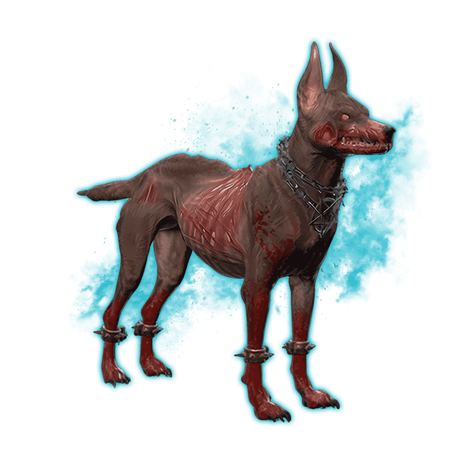 Dante Pet