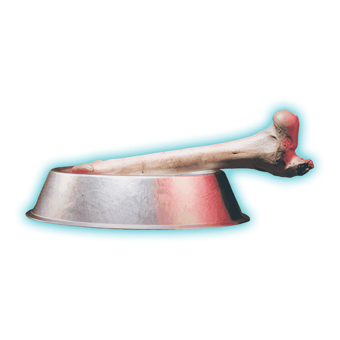 Dog Bone Schematic Unlock