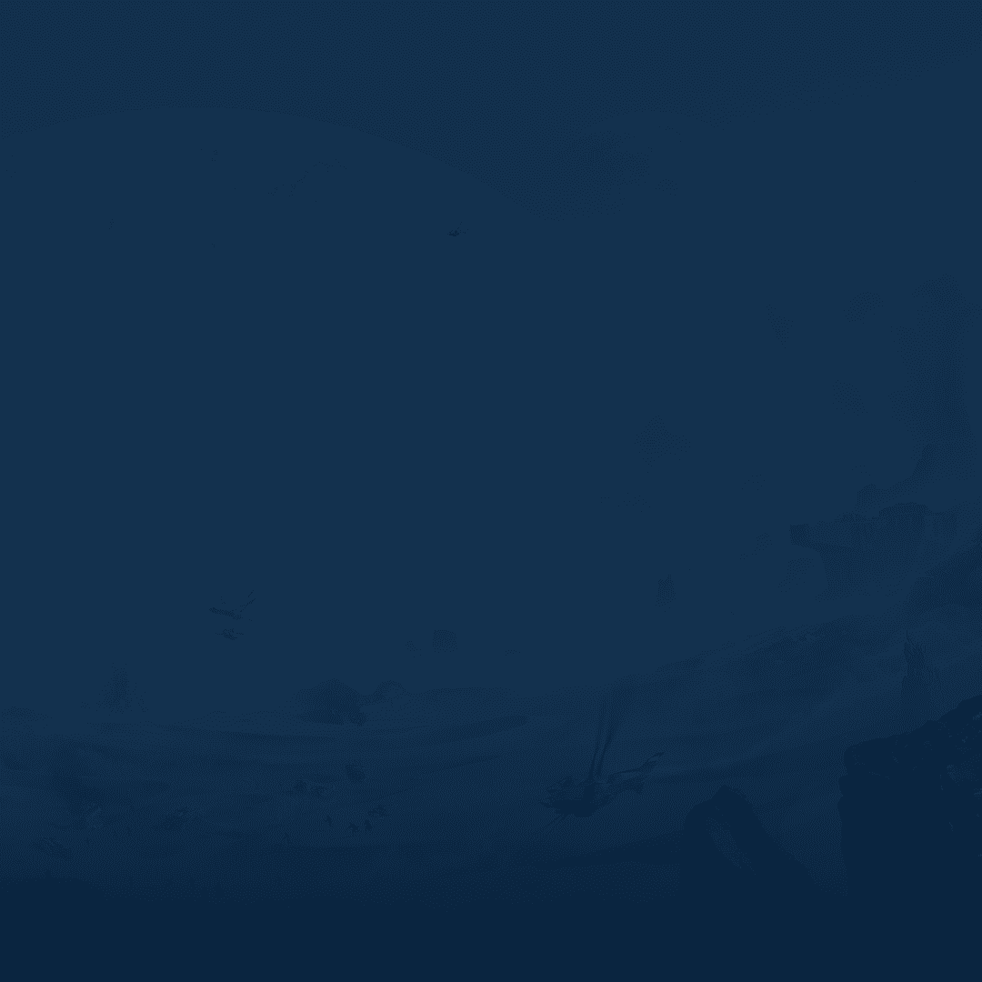 Service background