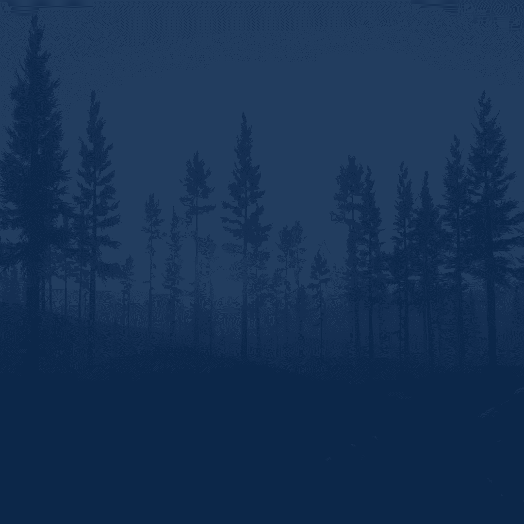 Service background
