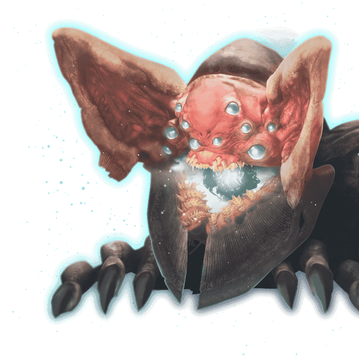 Flawless Last Wish