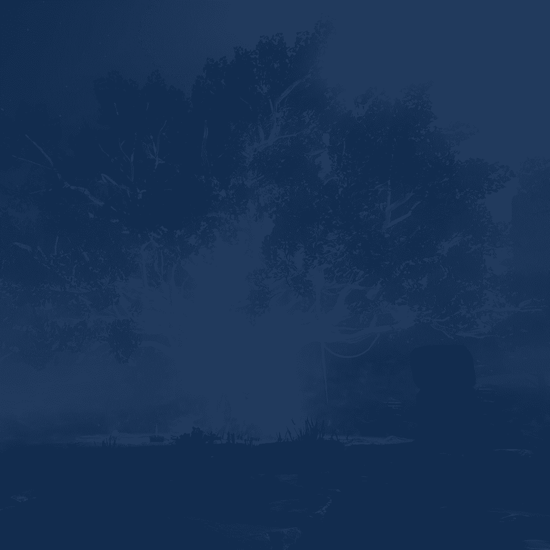 Service background
