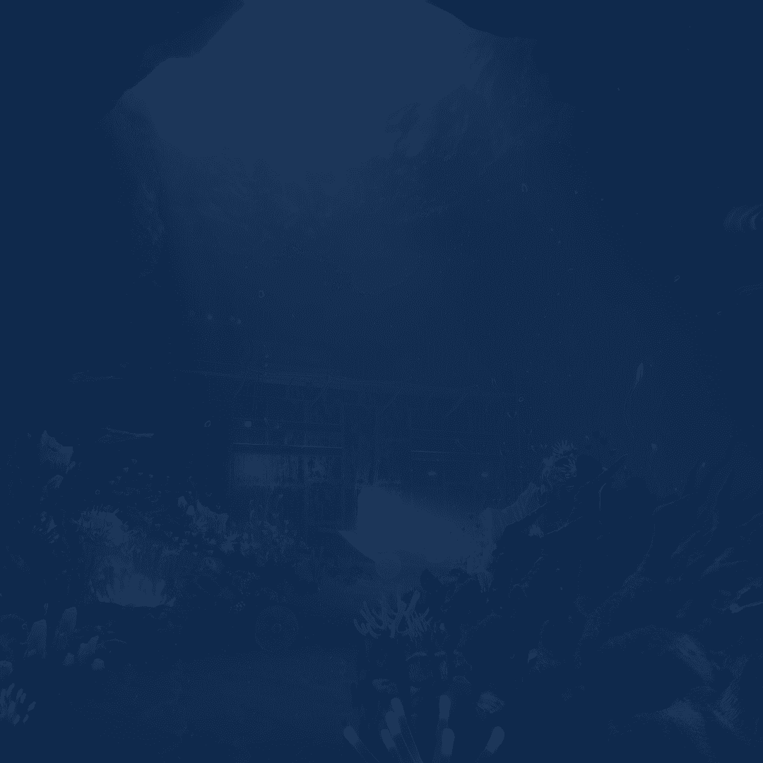 Service background