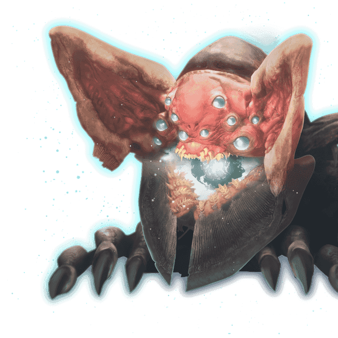 Last Wish Raid