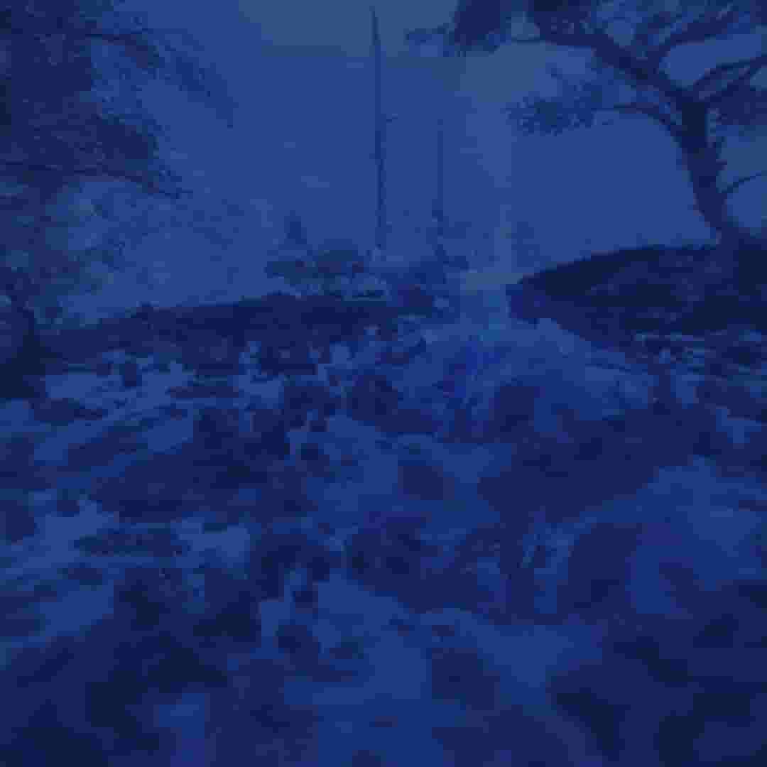 Service background