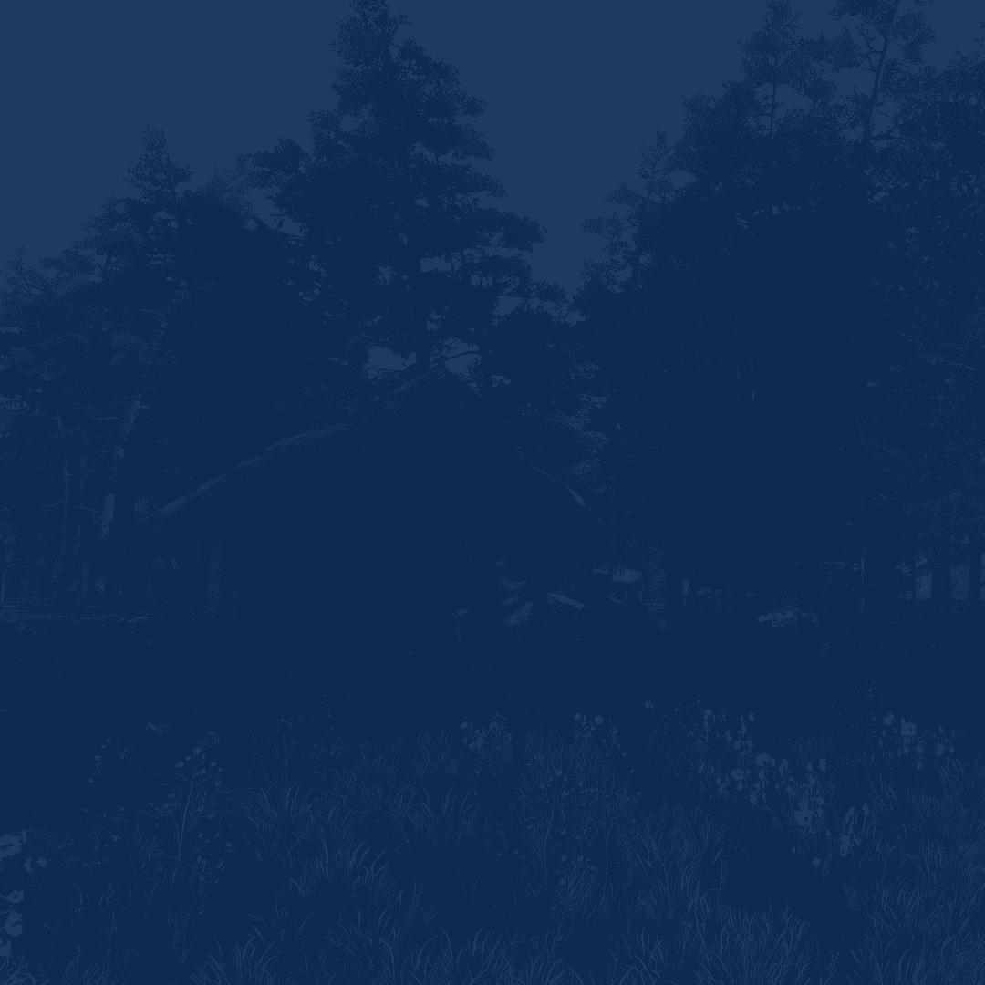 Service background
