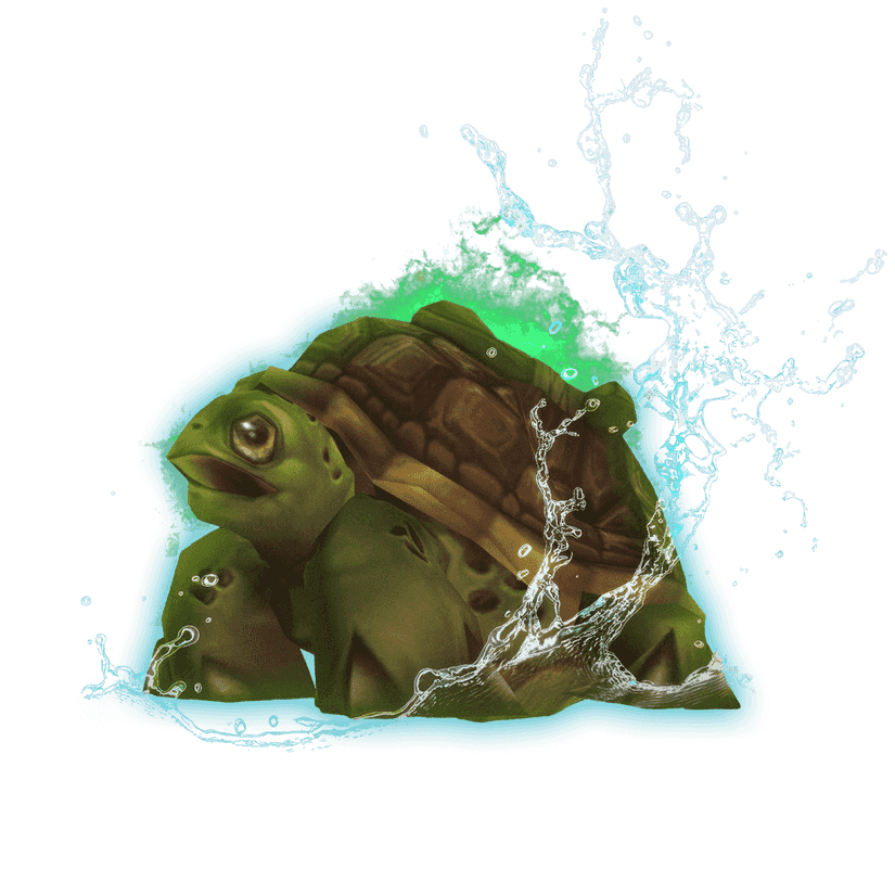 Riding Turtle Mount