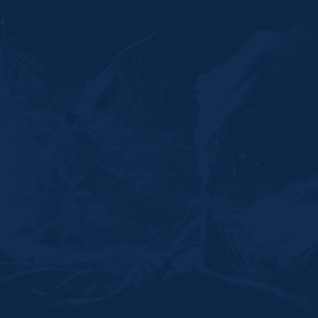 Service background