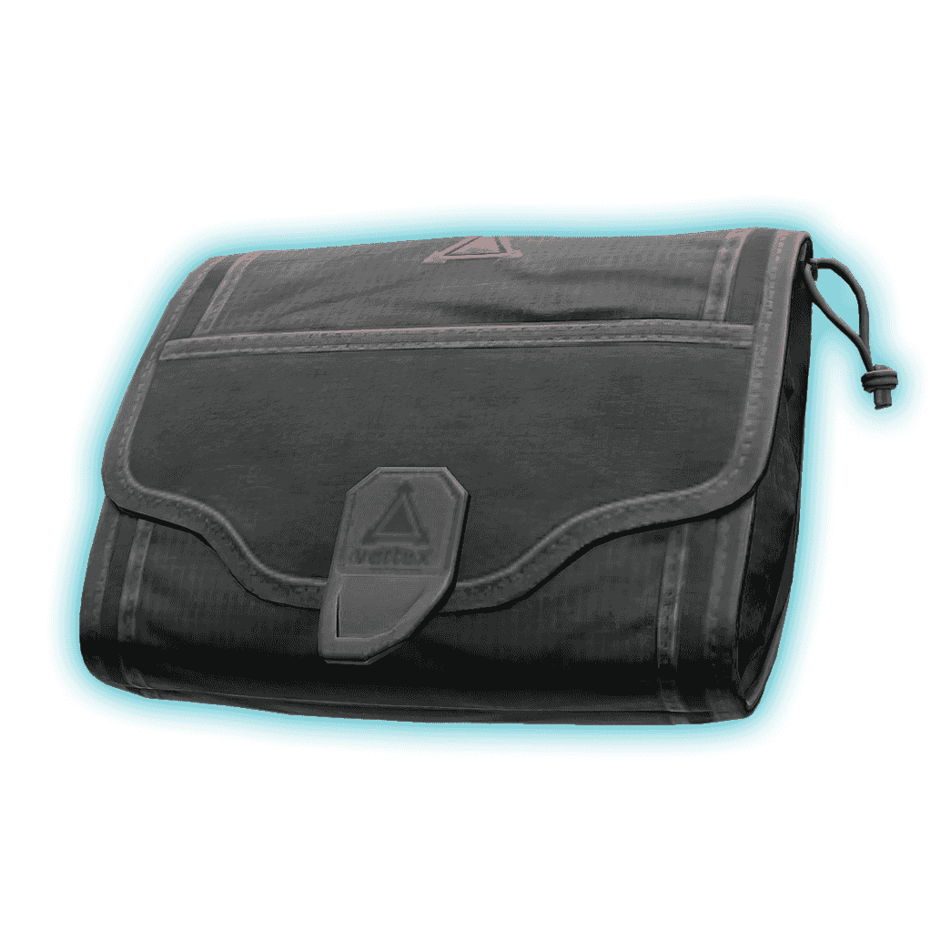 SICC Case
