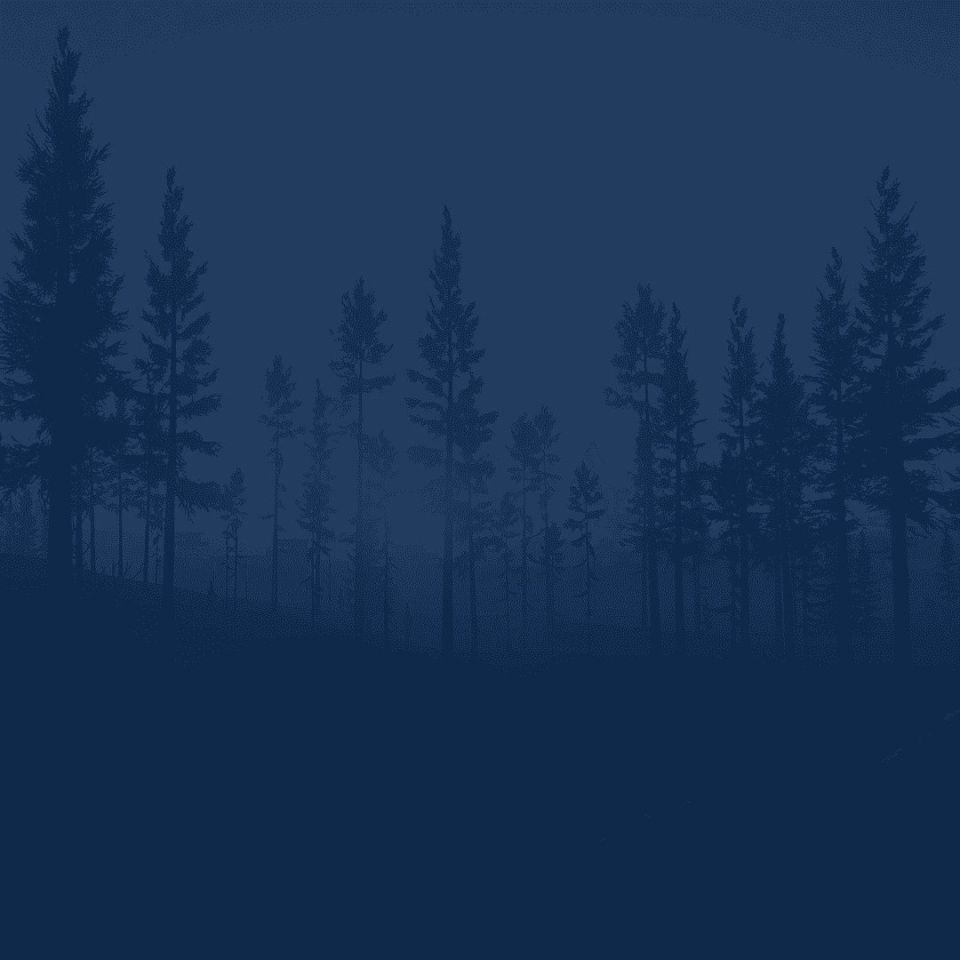 Service background