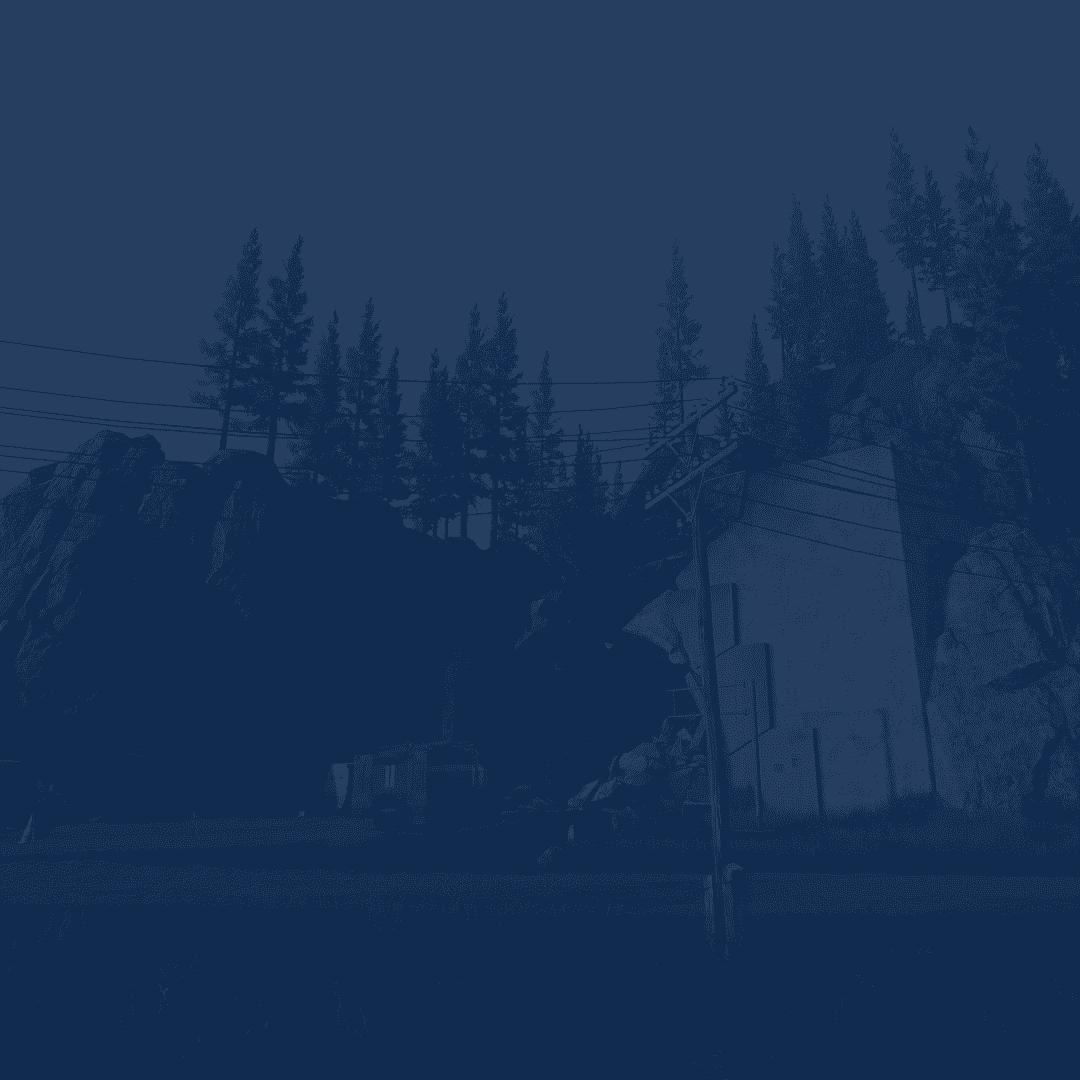 Service background