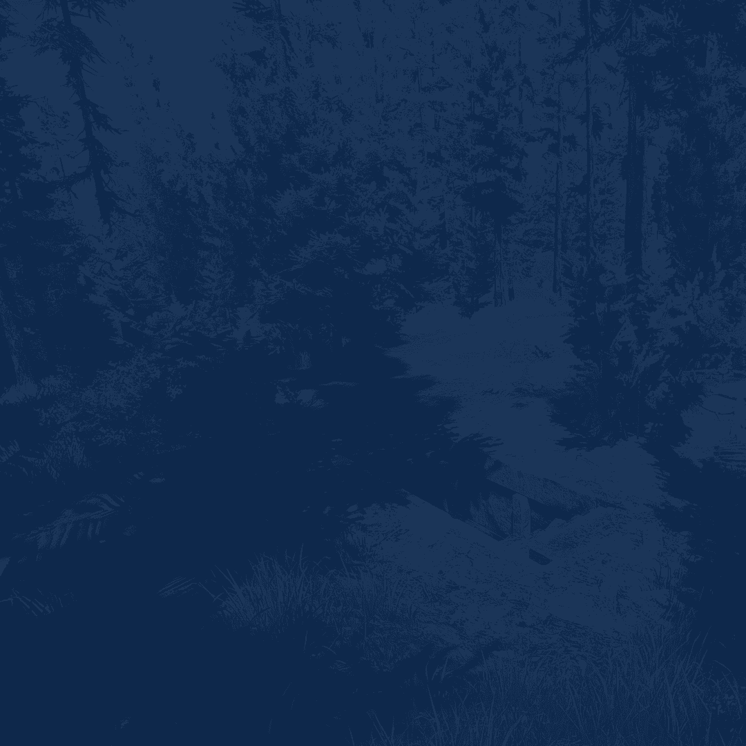 Service background