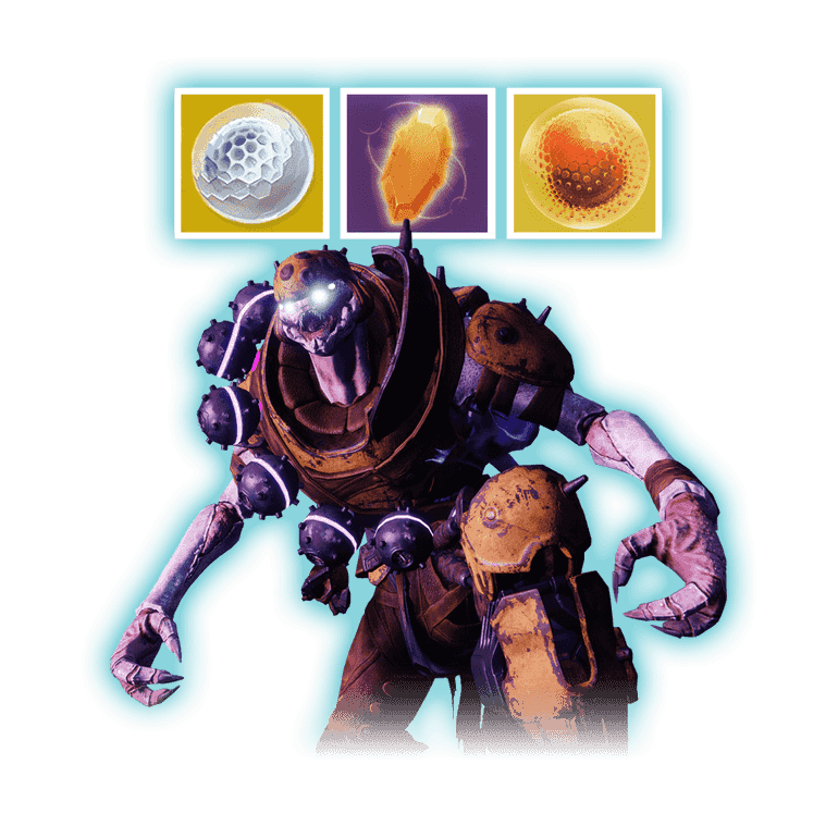 The Coil Bundle (1 + 1)