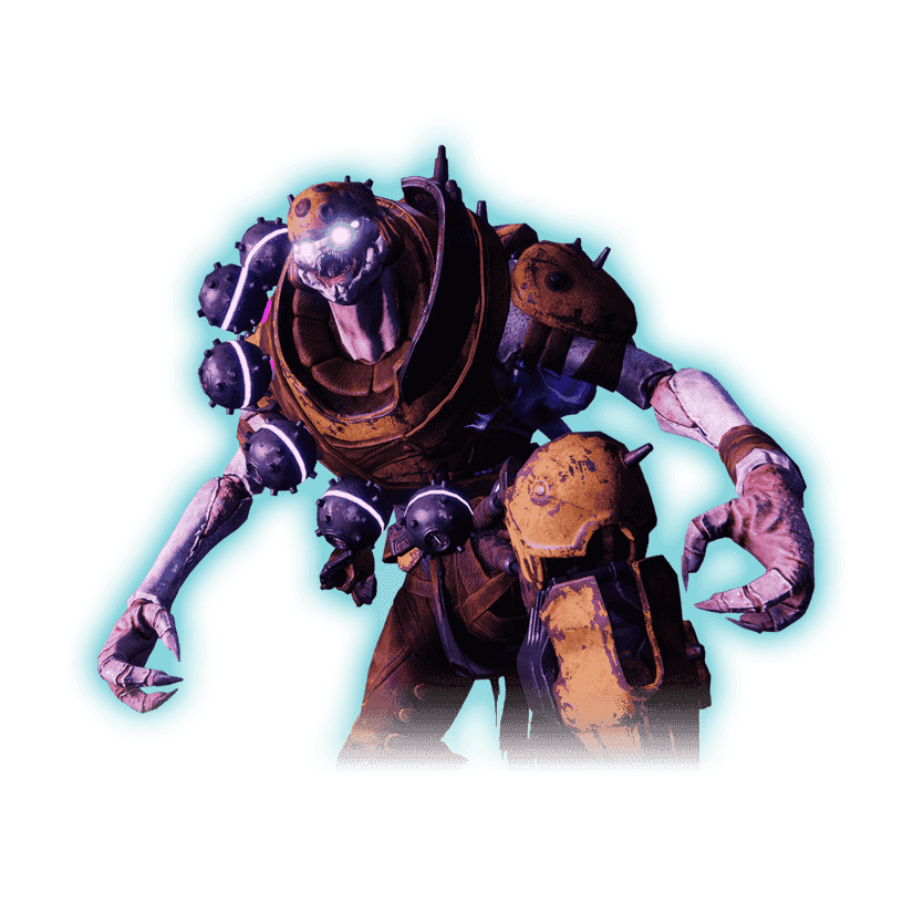 The Coil