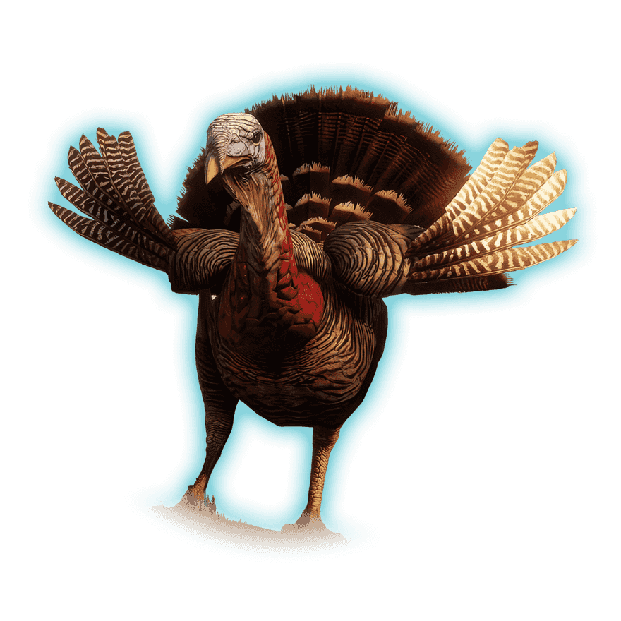 Turkulon Feathered Avenger Kill