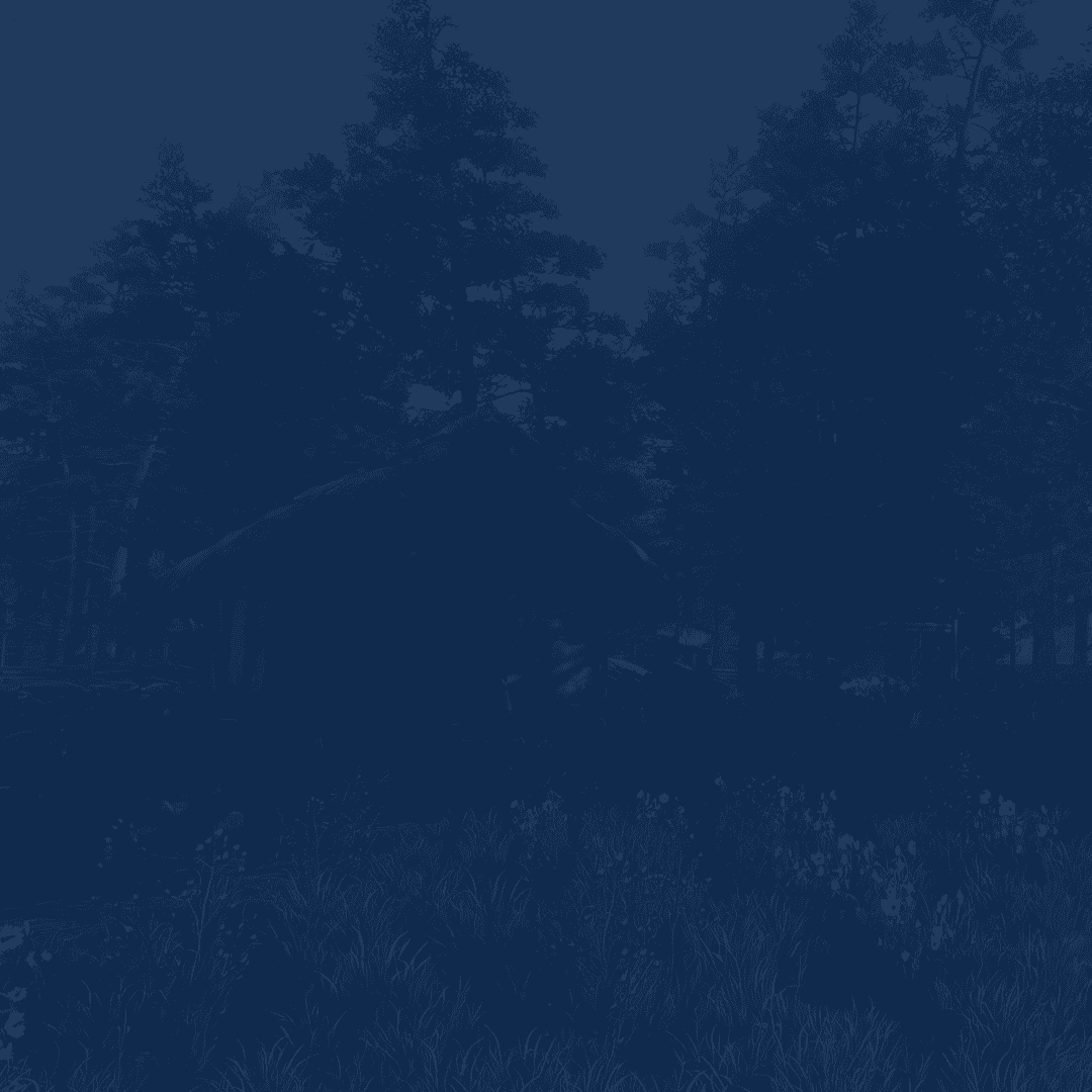 Service background
