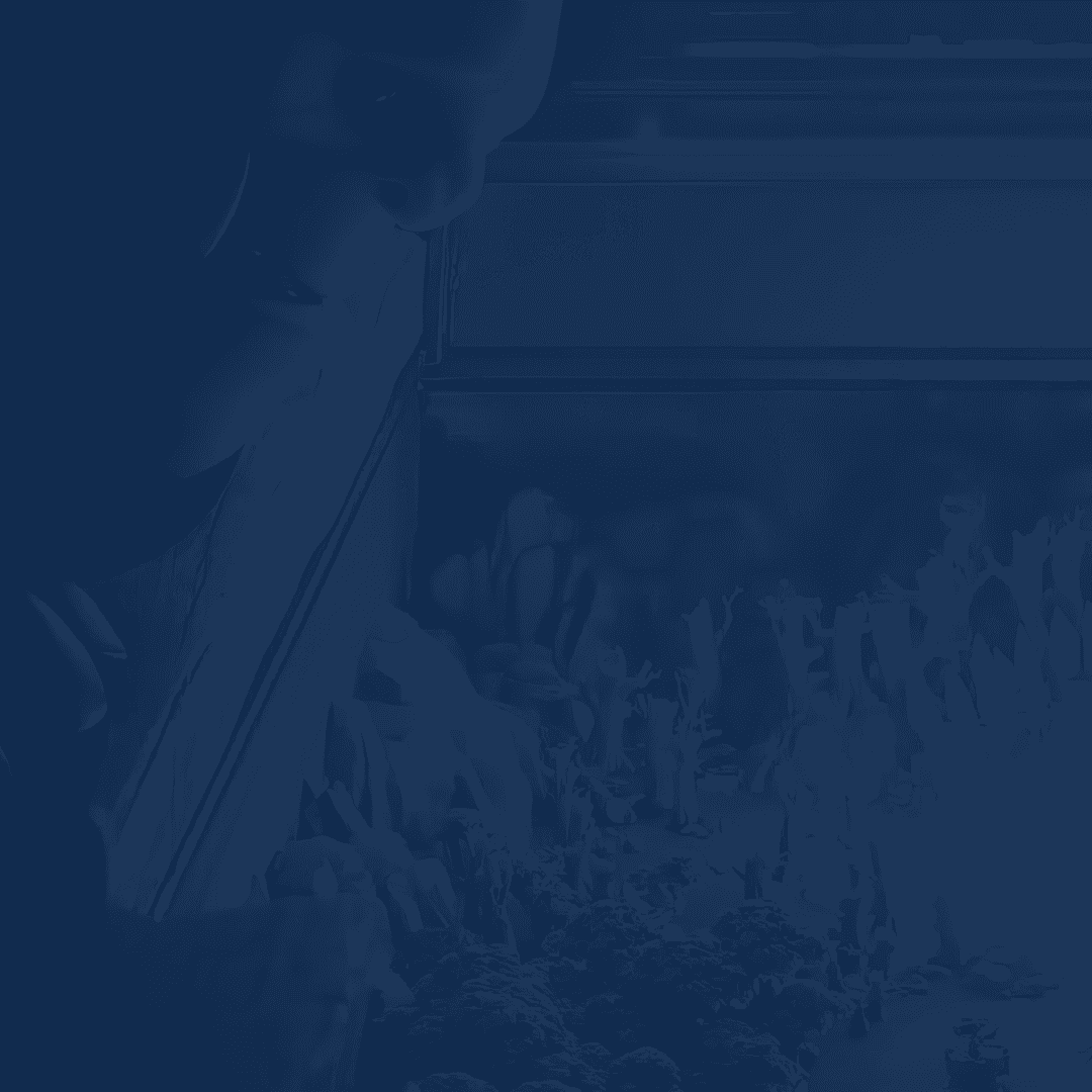 Service background