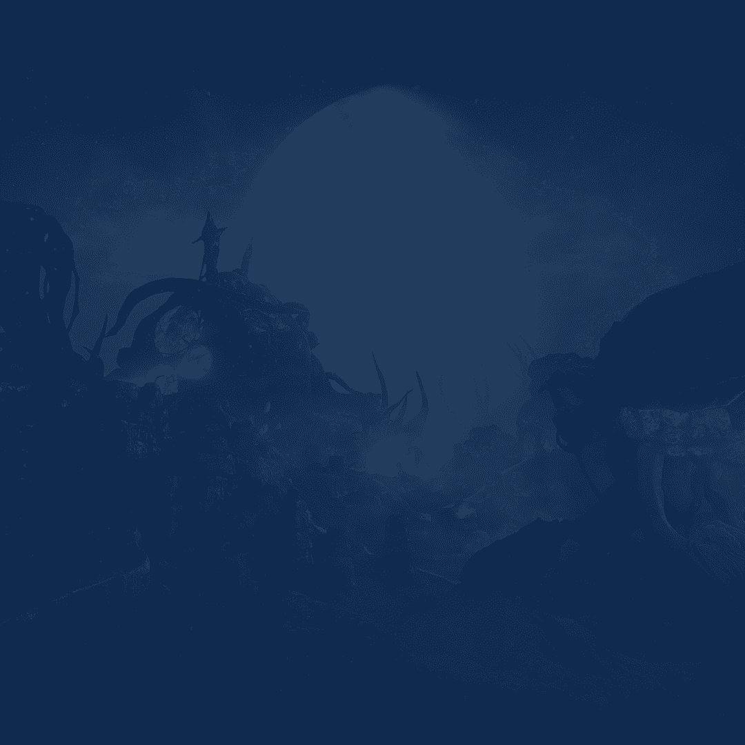 Service background