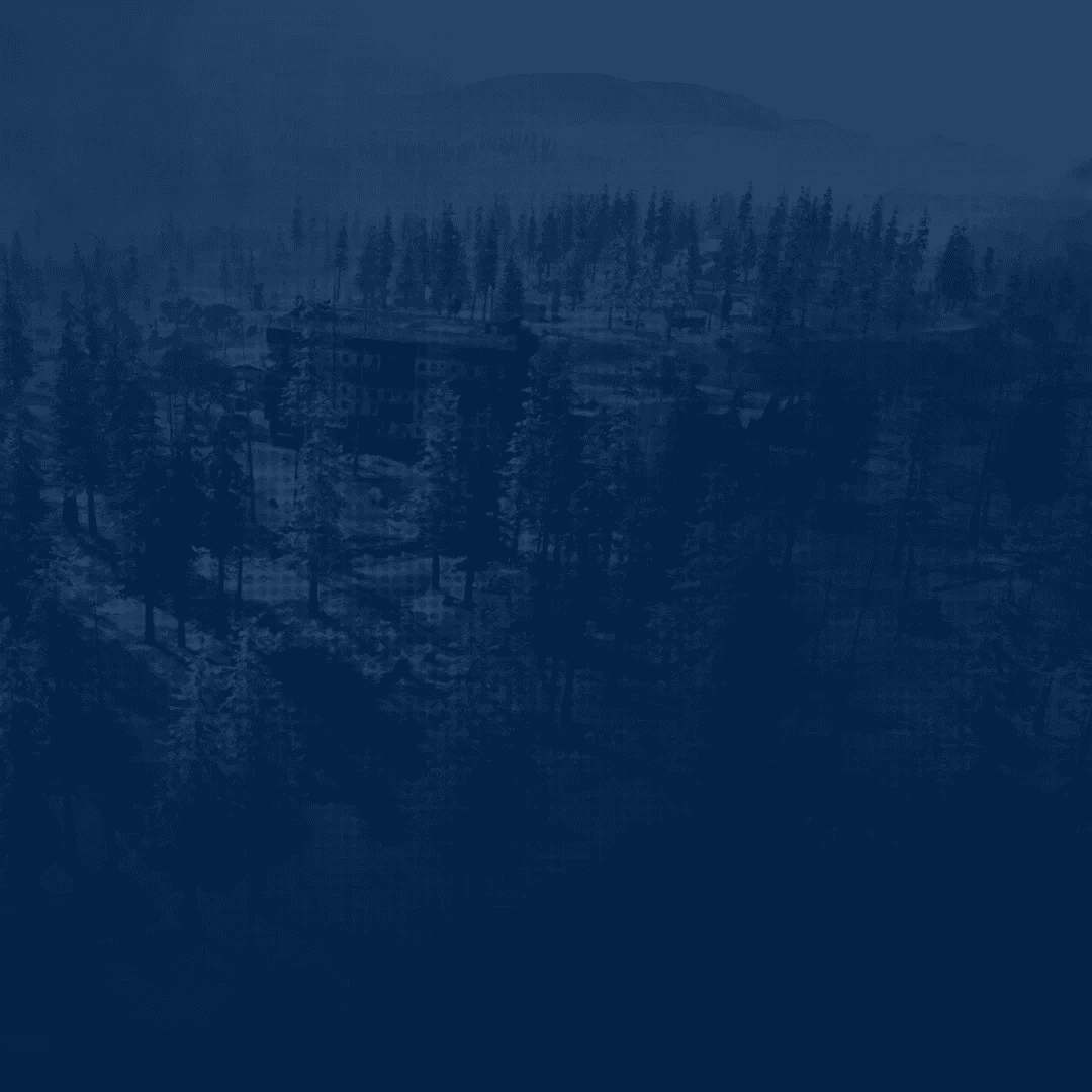 Service background
