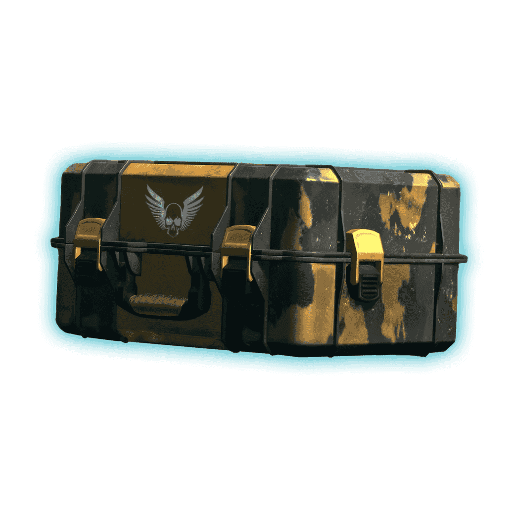 Warzone Weapon Cases