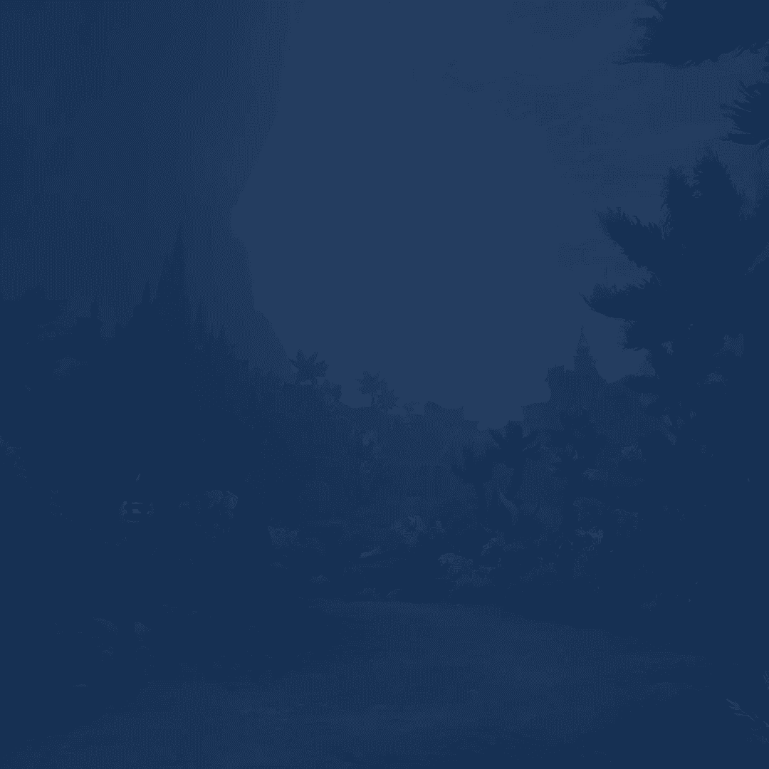 Service background