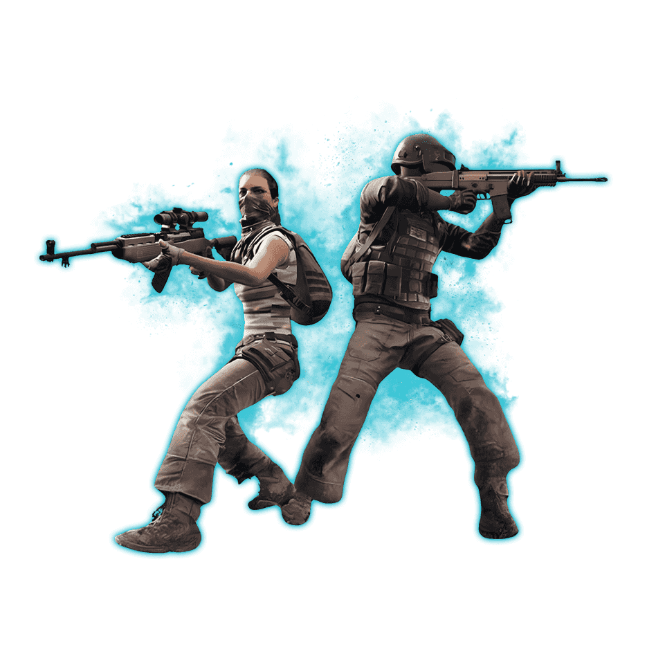 PUBG: Battlegrounds Pro for Hire